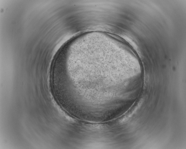 X0000089380949200707061136