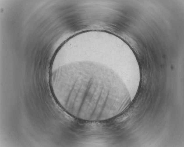 X0000089380950200707061136