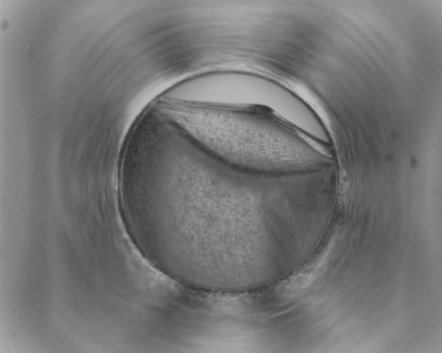 X0000089380951200707061136