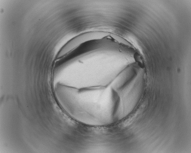 X0000089380952200707061136