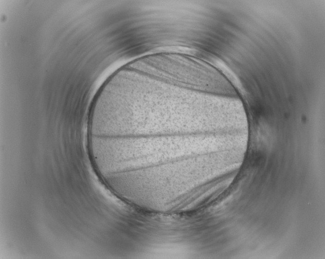 X0000089380955200707061136