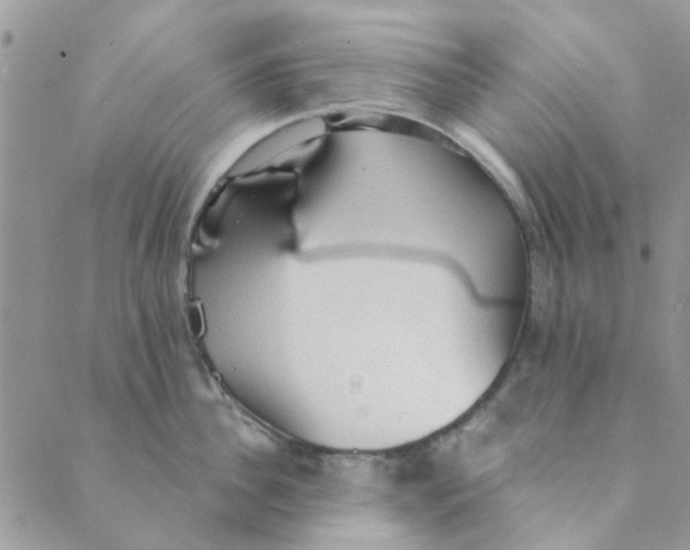 X0000089380956200707061136