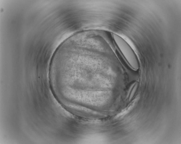 X0000089380957200707061136