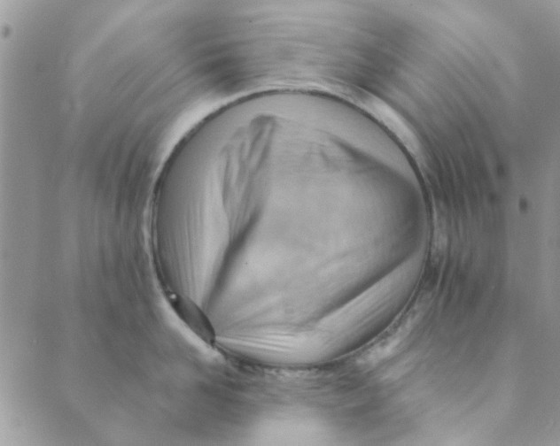 X0000089380958200707061136