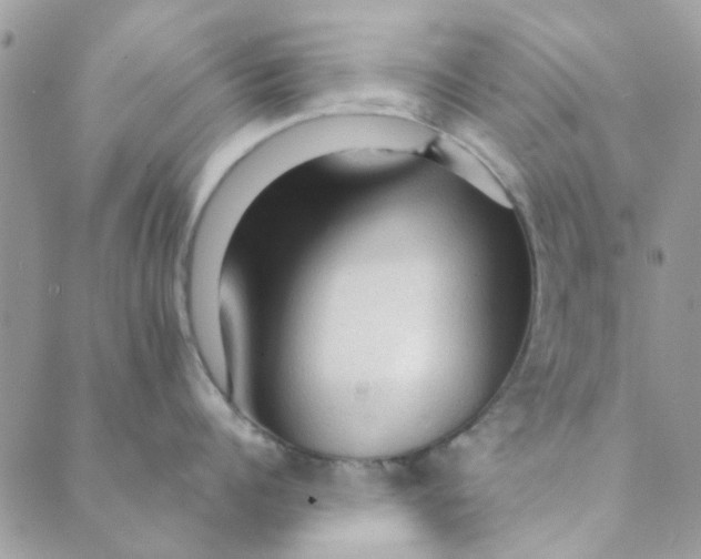 X0000089380960200707061136