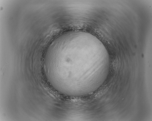 X0000089380961200707061135