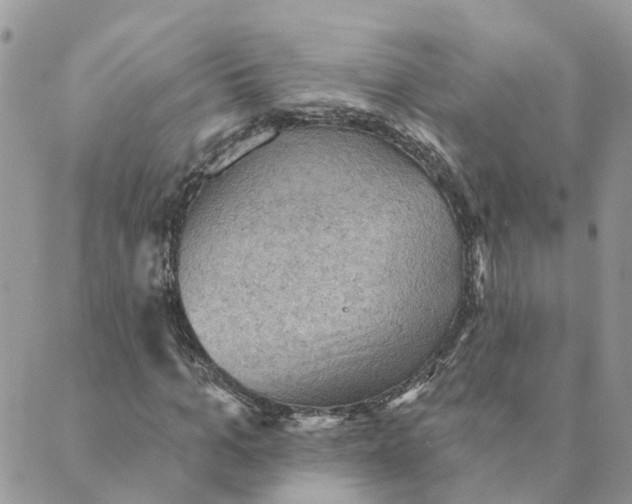 X0000089380965200707061135