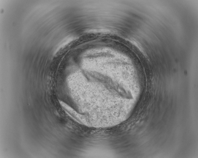 X0000089380967200707061135