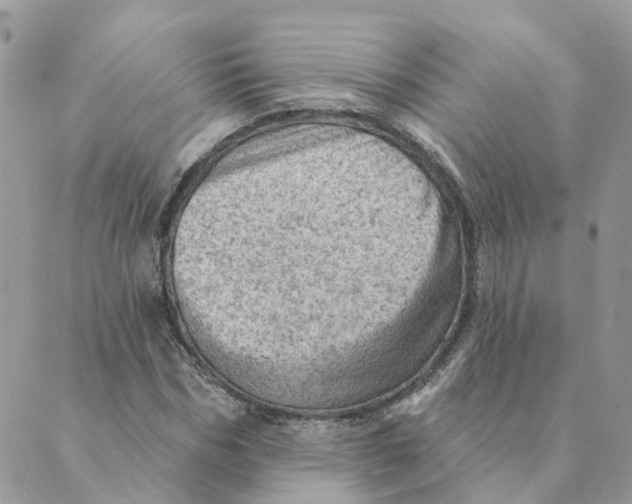 X0000089380970200707061135