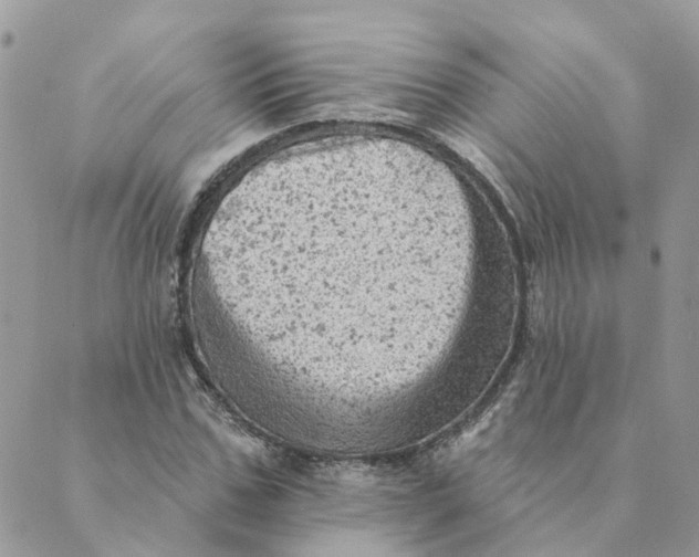 X0000089380971200707061135