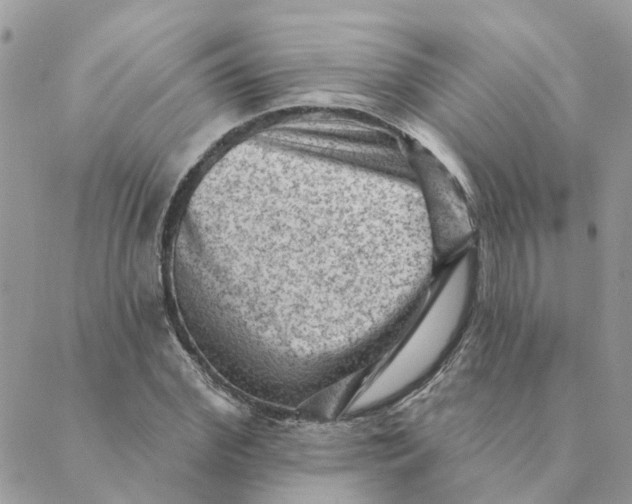 X0000089380972200707061135