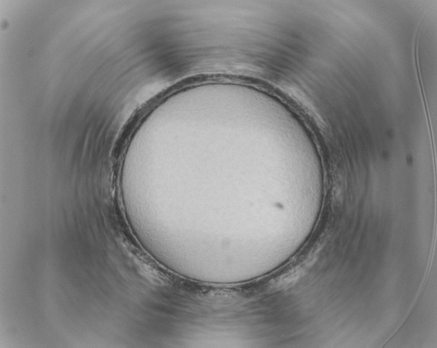 X0000089380974200707061135