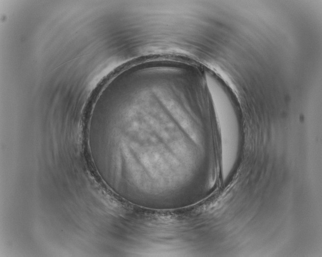 X0000089380975200707061135