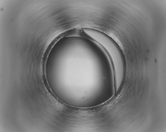 X0000089380976200707061135