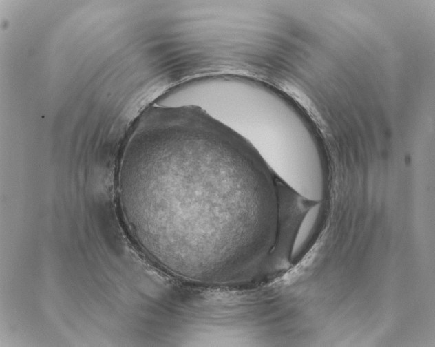 X0000089380977200707061135