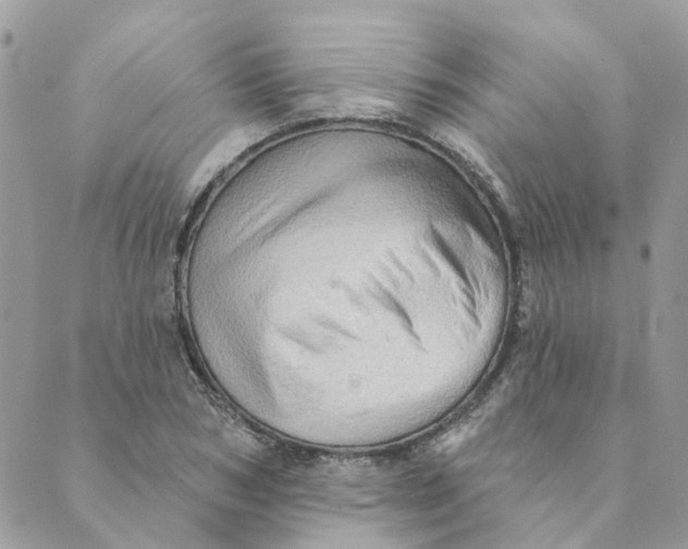 X0000089380978200707061135