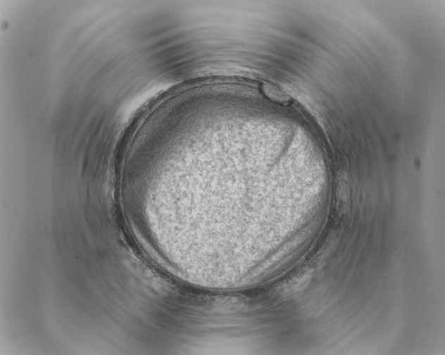 X0000089380979200707061135