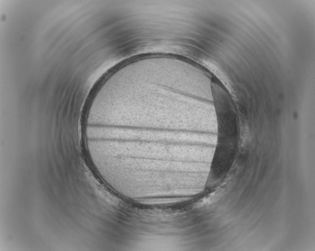 X0000089380980200707061135