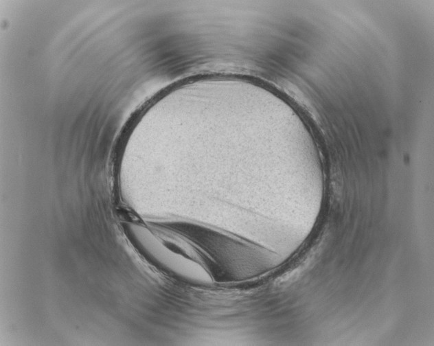 X0000089380981200707061135