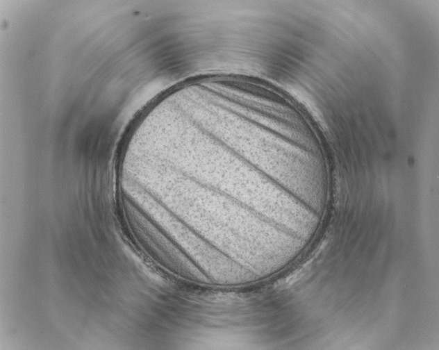 X0000089380982200707061135