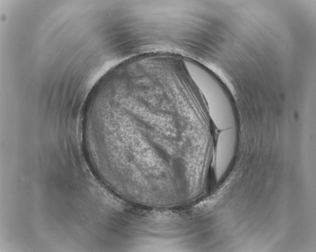 X0000089380983200707061135