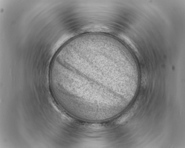 X0000089380986200707061135