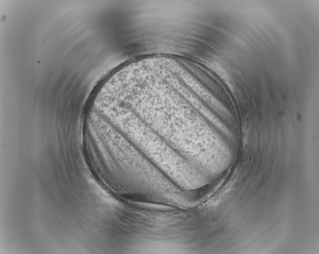 X0000089380987200707061134