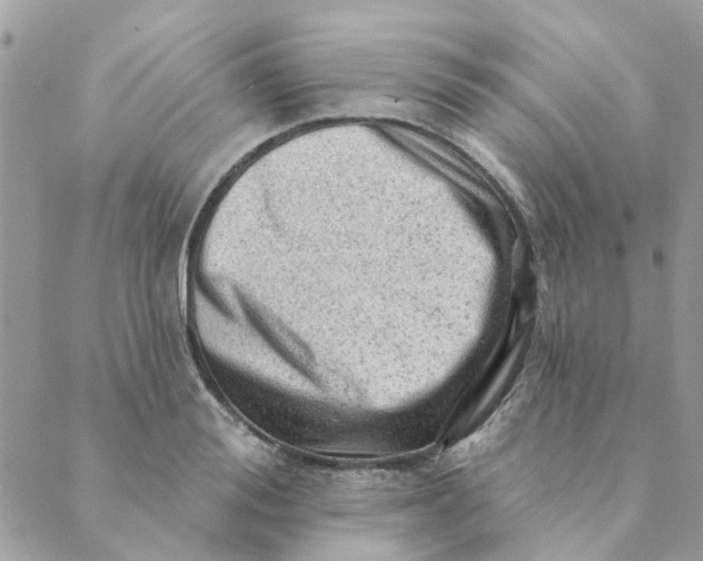 X0000089380988200707061134