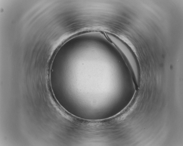 X0000089380989200707061134