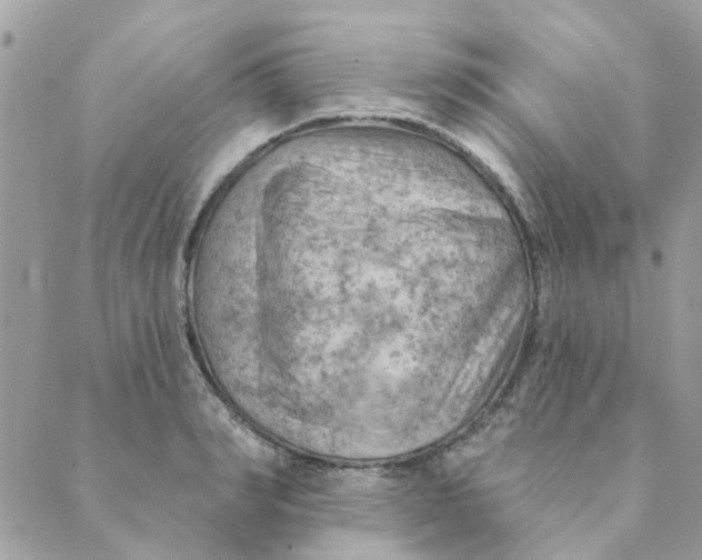 X0000089380990200707061134