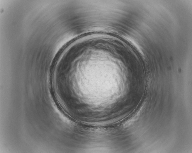 X0000089380991200707061134