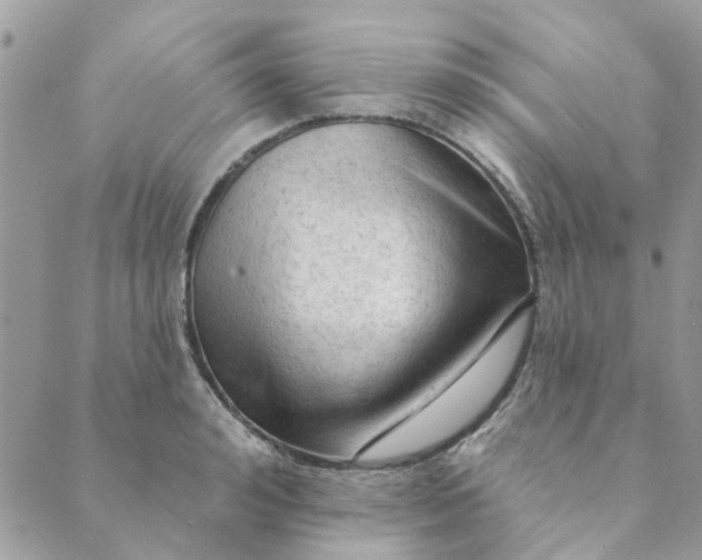 X0000089380992200707061134