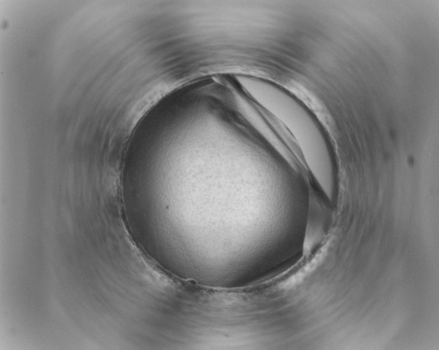 X0000089380993200707061134