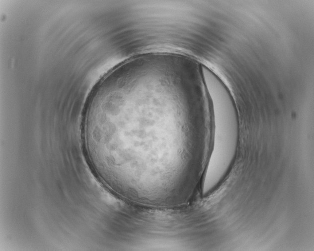 X0000089380995200707061134