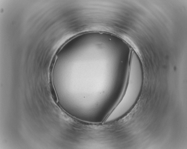 X0000089380996200707061134