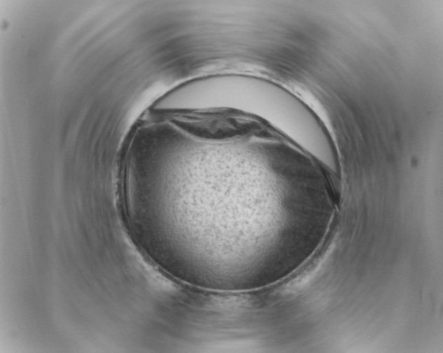 X0000089380997200707061134