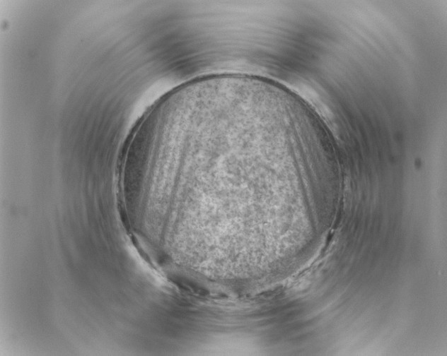 X0000089380998200707061134