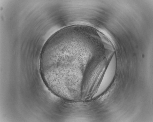 X0000089380999200707061134