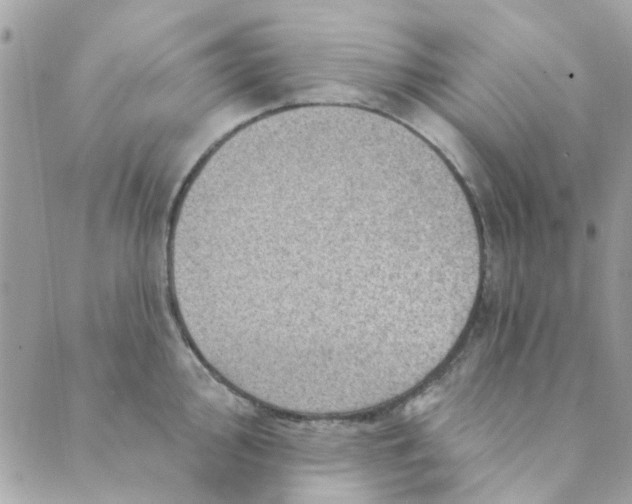 X0000089381000200707061134