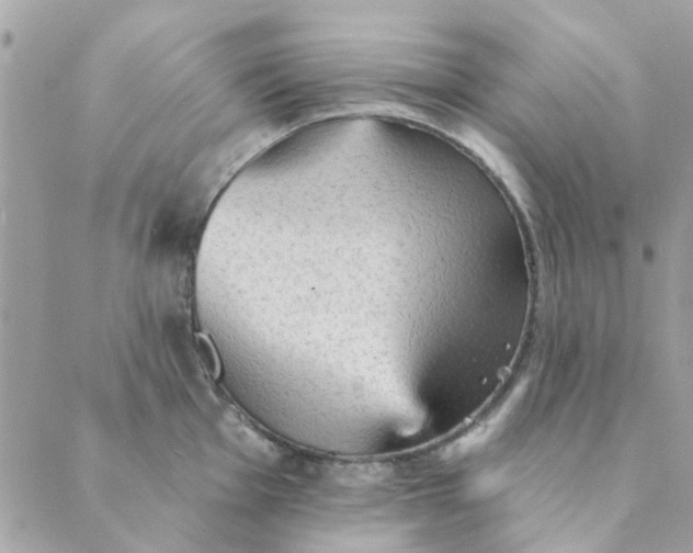 X0000089381001200707061134