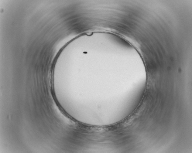 X0000089381003200707061134