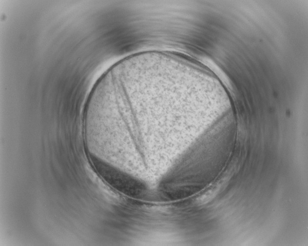 X0000089381004200707061134