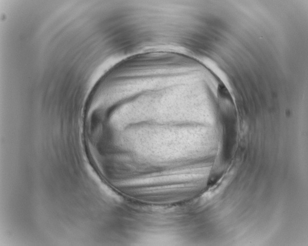 X0000089381005200707061134