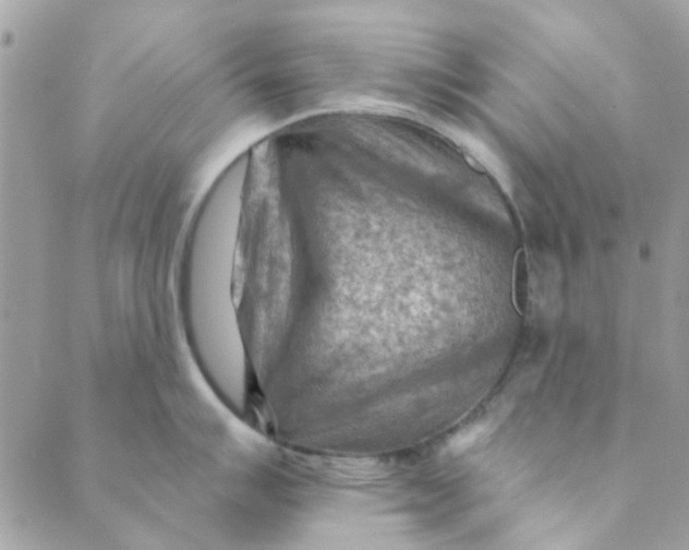 X0000089381007200707061134