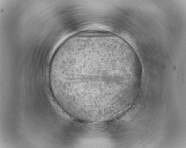 X0000089381008200707061134