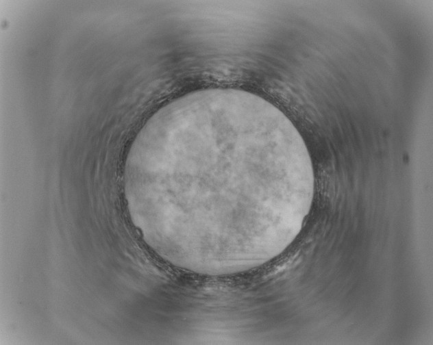 X0000089381009200707061133