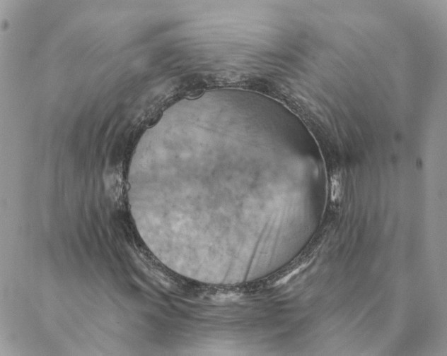 X0000089381011200707061133