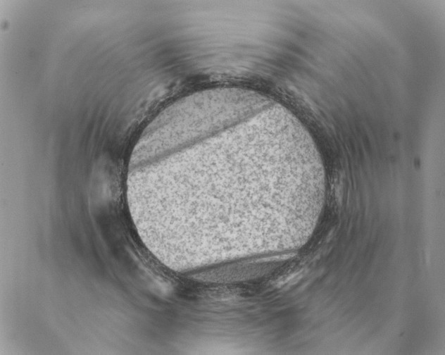 X0000089381012200707061133