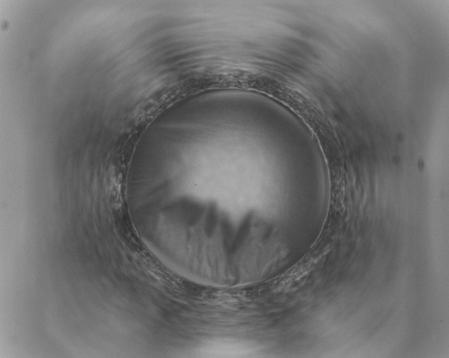 X0000089381013200707061133