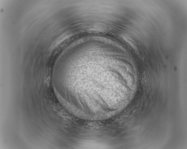 X0000089381015200707061133